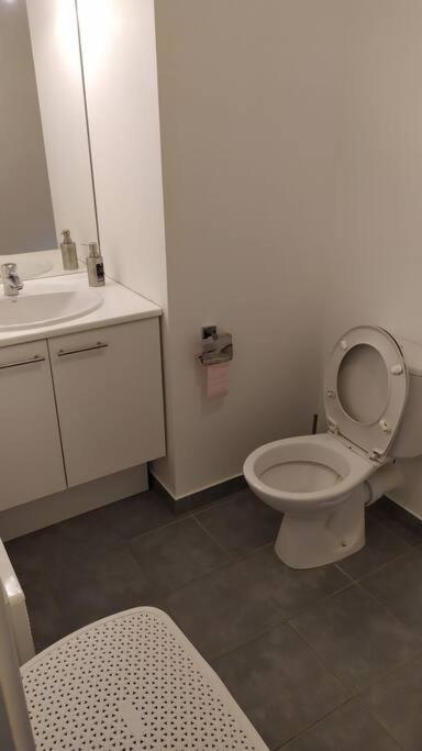 T2 De 42M² A Proximite De La Gare A 30Min De Paris Apartment Mantes-la-Jolie Exterior foto